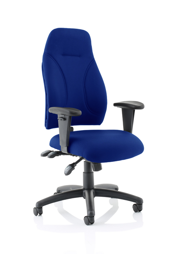 Esme Blue Fabric Posture Chair With Height Adjustable Arms